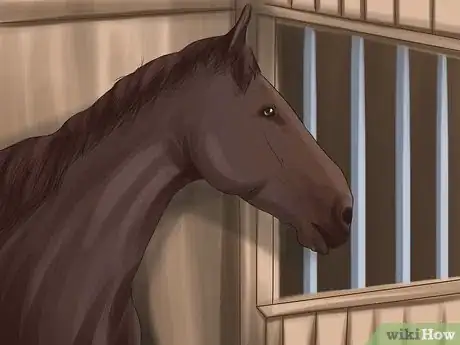 Image titled Care for Your Horse After Riding Step 14