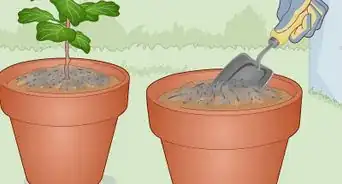 Make a Worm Farm