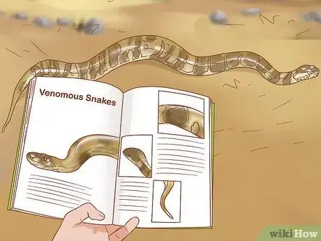 Image titled Find a Snake Step 8