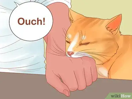 Image titled Stop a Cat from Biting or Scratching During Play Step 3