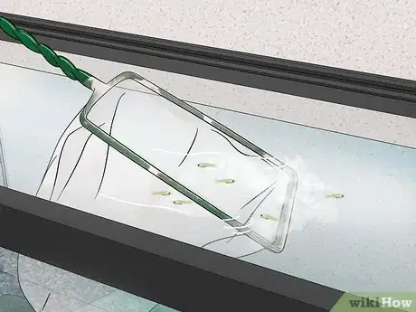 Image titled Tell if Your Fish Is Having Babies Step 13