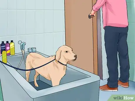 Image titled Give a Stubborn Dog a Bath Step 2
