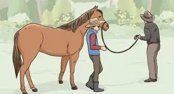 Tell if a Horse Is Frightened
