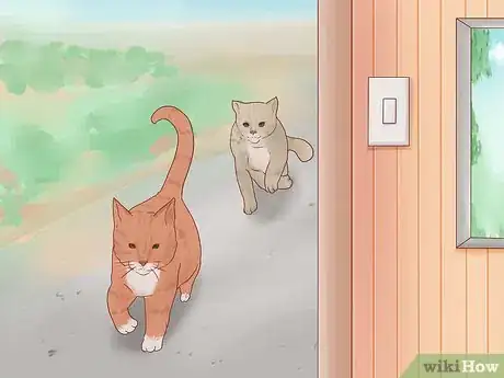 Image titled Get Your Cat to Come Inside Step 11