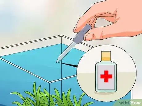 Image titled Cure Betta Fish Diseases Step 14