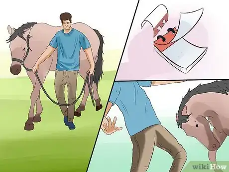 Image titled Train a Horse to Respect You Step 12