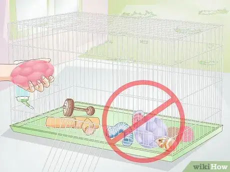Image titled Exercise Your Guinea Pig Step 4