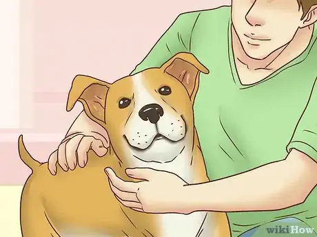 Image titled Keep Both Dogs Safe While Mating Them Step 12