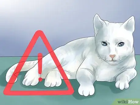 Image titled Tell if Your Cat Is Deaf Step 10