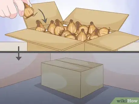 Image titled Store Bulbs Step 12