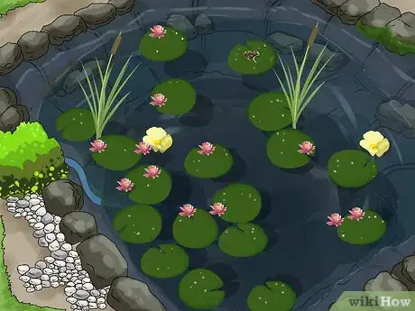 Image titled Make a Pond Step 15