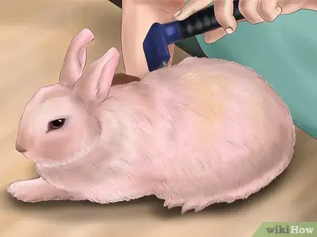 Image titled Raise a Healthy Bunny Step 16