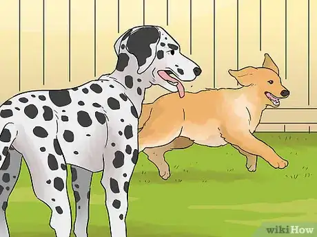 Image titled Make a Routine for Your Dog Step 12