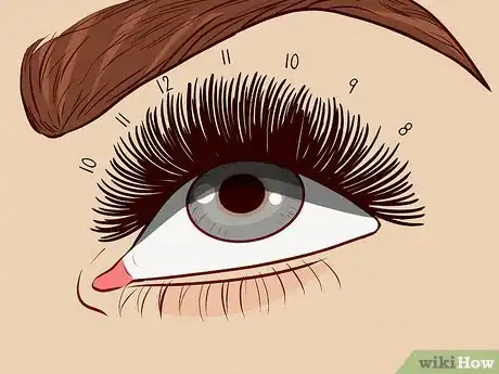 Image titled Map Lash Extensions Step 11