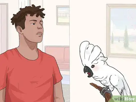 Image titled Teach Your Bird to Talk Step 1