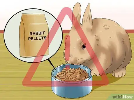 Image titled Stop a Rabbit from Sneezing Step 9