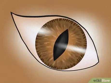 Image titled Evil Eye Color Meaning Step 9