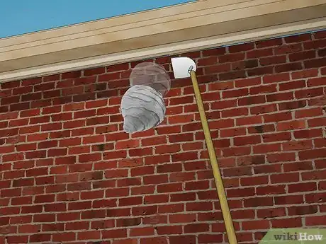 Image titled Get Rid of Paper Wasp Nests Step 13