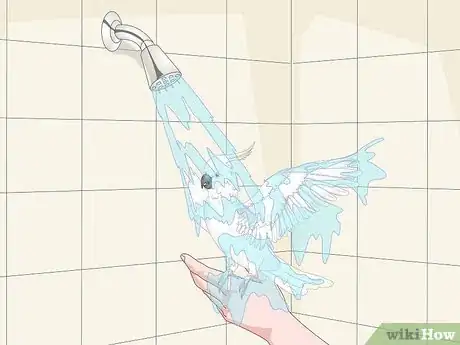 Image titled Care for a Moluccan or Umbrella Cockatoo Step 11