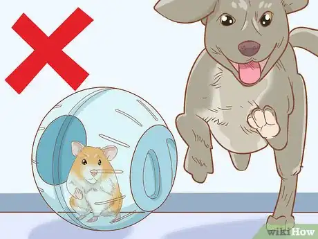 Image titled Keep a Hamster and a Dog Step 11