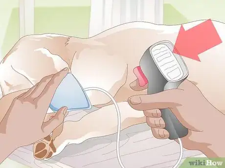 Image titled Take a Dog's Blood Pressure Step 4
