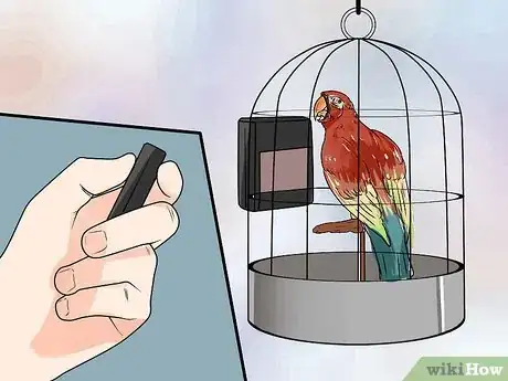 Image titled Train Parrots to Make Less Noise Step 7