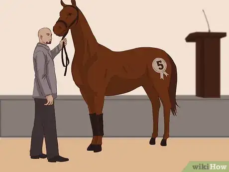 Image titled Buy a Racehorse Step 9