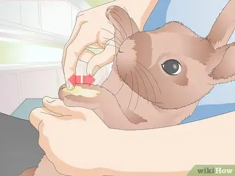 Image titled Give a Rabbit Medication Step 28