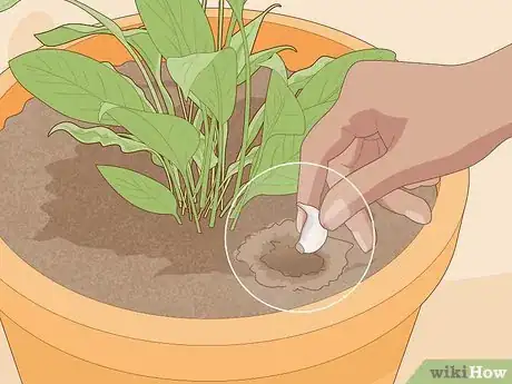 Image titled Protect Plants Step 13