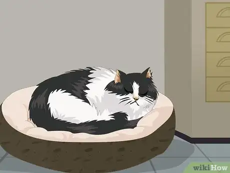 Image titled Stop Your Cat from Waking You at Night Step 1