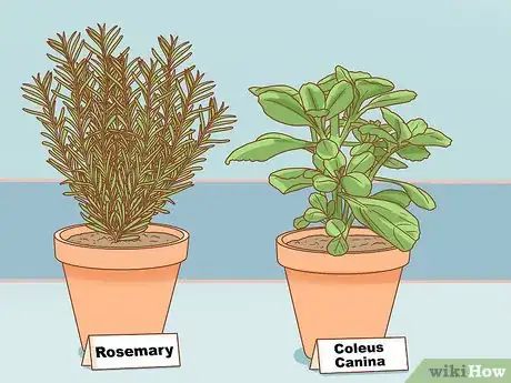 Image titled Protect Your Houseplants from Pets Step 9