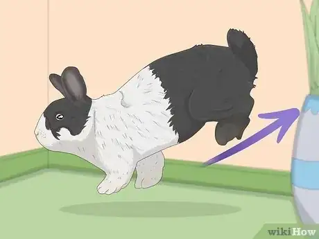 Image titled Read Bunny Body Language Step 12