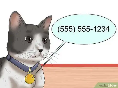 Image titled Plan and Prepare for Your New Cat Step 6