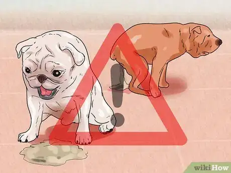 Image titled Recognize Poisoning in Dogs Step 5