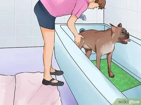 Image titled Give a Stubborn Dog a Bath Step 3