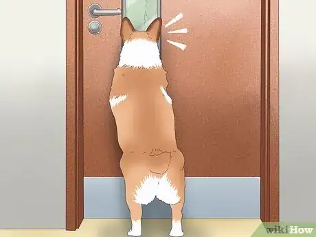 Image titled Why Do Dogs Follow You to the Bathroom Step 8