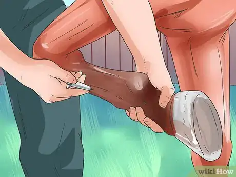 Image titled Tell if Your Horse Needs Hock Injections Step 16