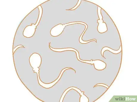 Image titled Collect Semen from a Bull for a Breeding Soundness Exam Step 11
