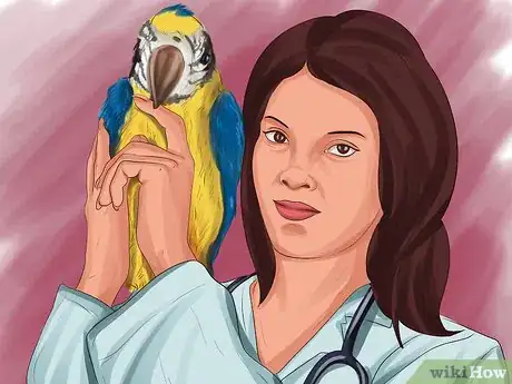Image titled Choose a Parrot Step 6
