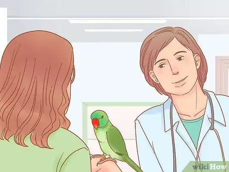 Image titled Care for a Parrot Step 11