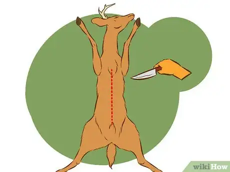 Image titled Clean a Deer Step 2