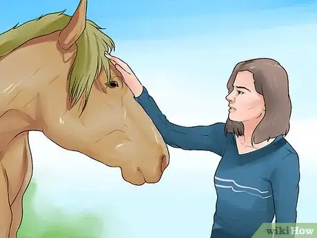 Image titled Discipline a Horse Without Using Aggression Step 11
