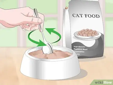 Image titled Treat Your Cat's Dental Problems Step 10