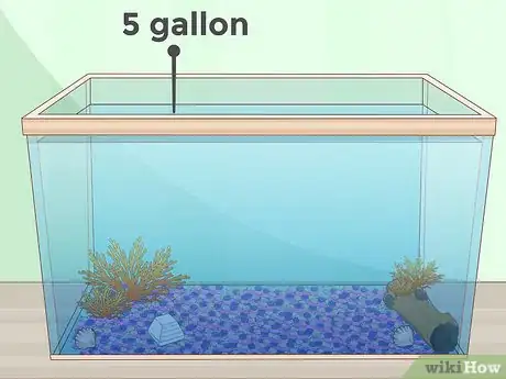 Image titled Feed Guppies Step 7