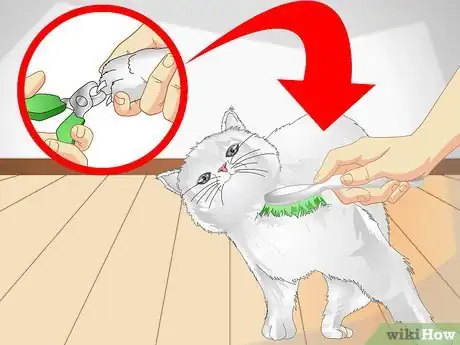 Image titled Spoil Your Cat Step 12