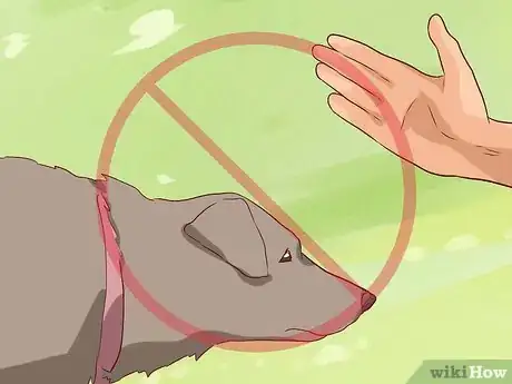 Image titled Discourage a Dog From Biting Step 13