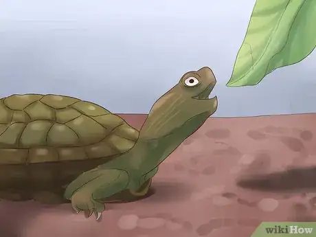 Image titled Make a Turtle Trap Step 14