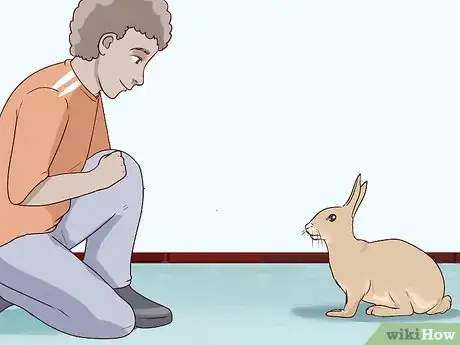 Image titled Pet a Rabbit Step 2