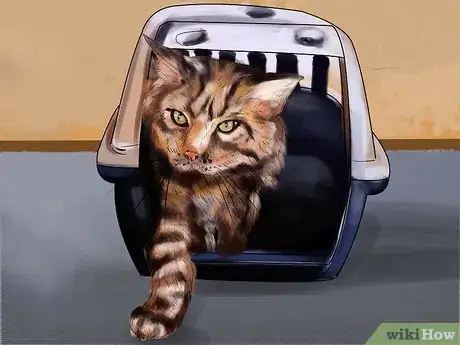Image titled Assess a Cat's Personality Step 5