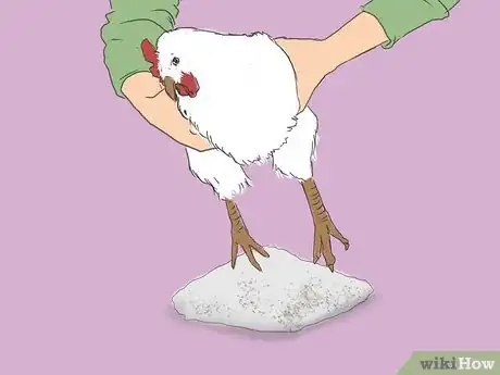 Image titled Get Rid of Chicken Mites Step 17